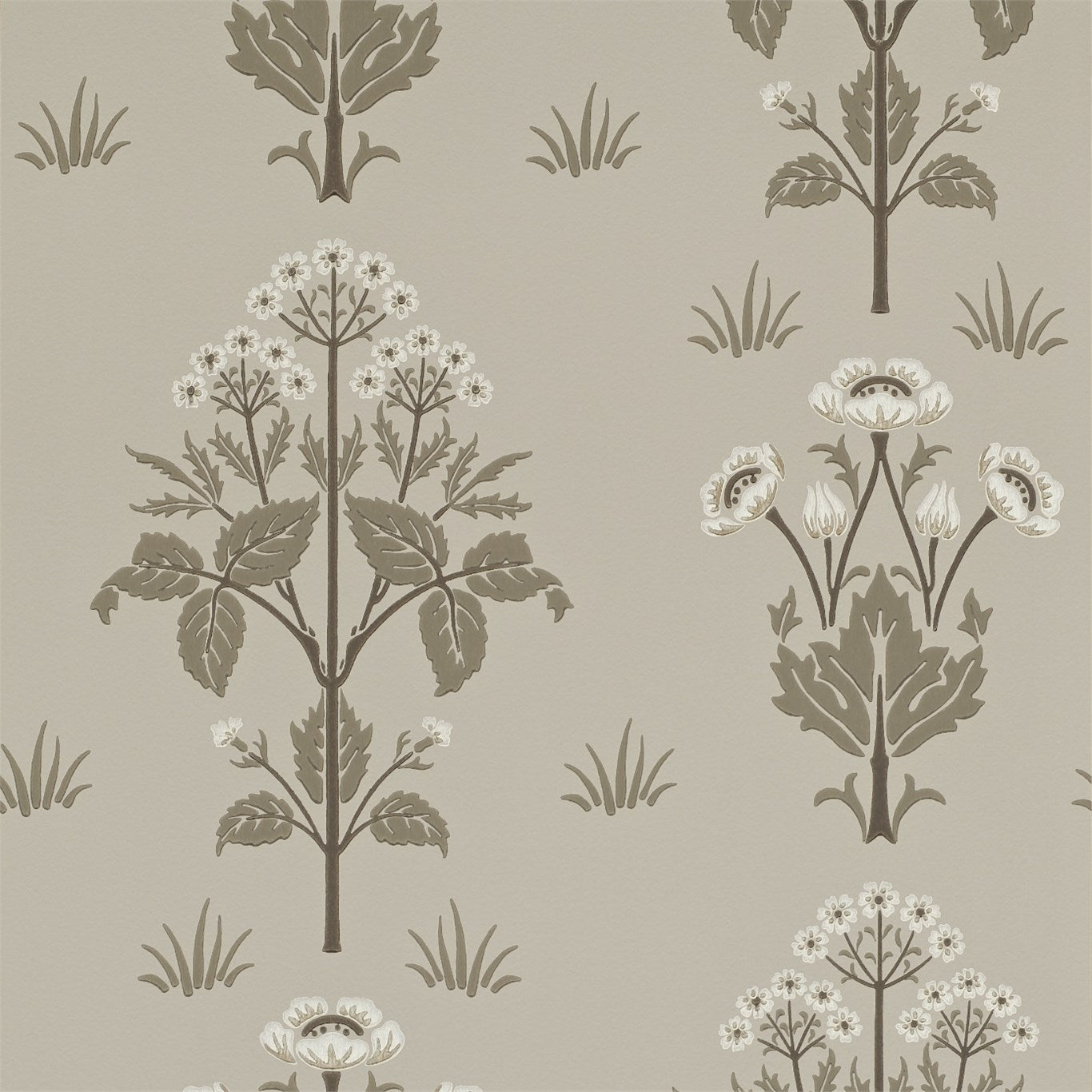 MEADOW SWEET