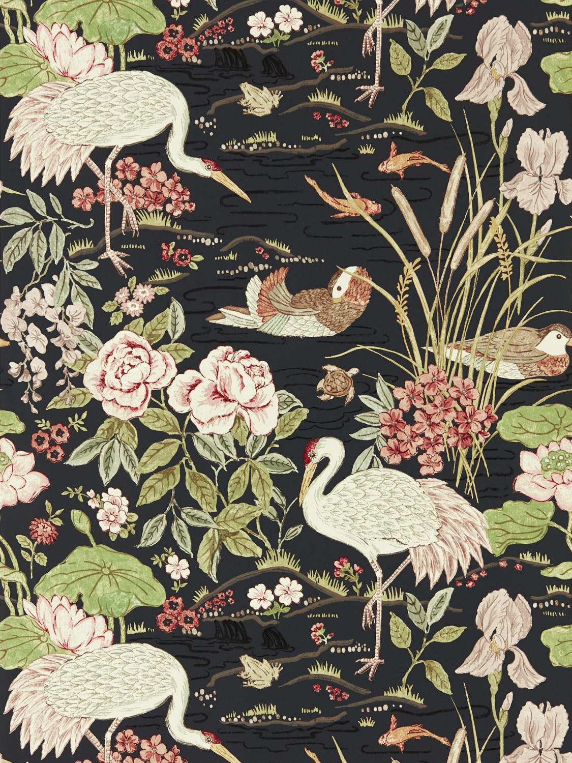 CRANE & FROG