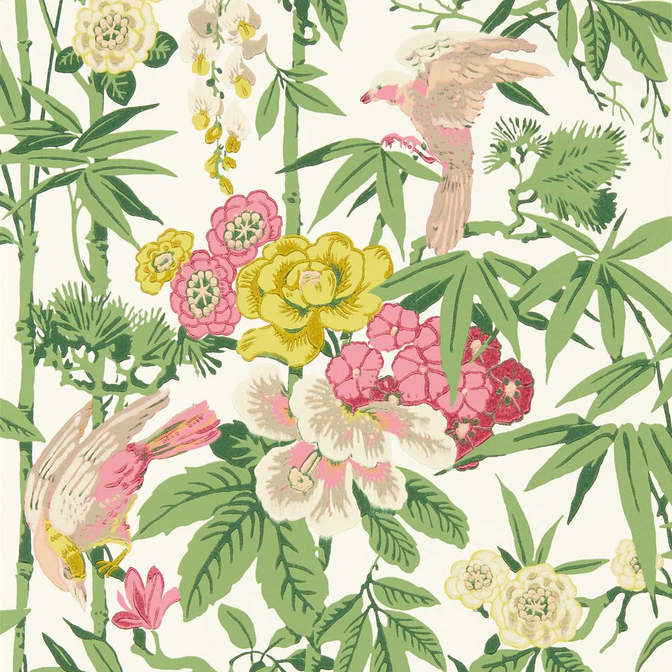 BAMBOO & BIRDS