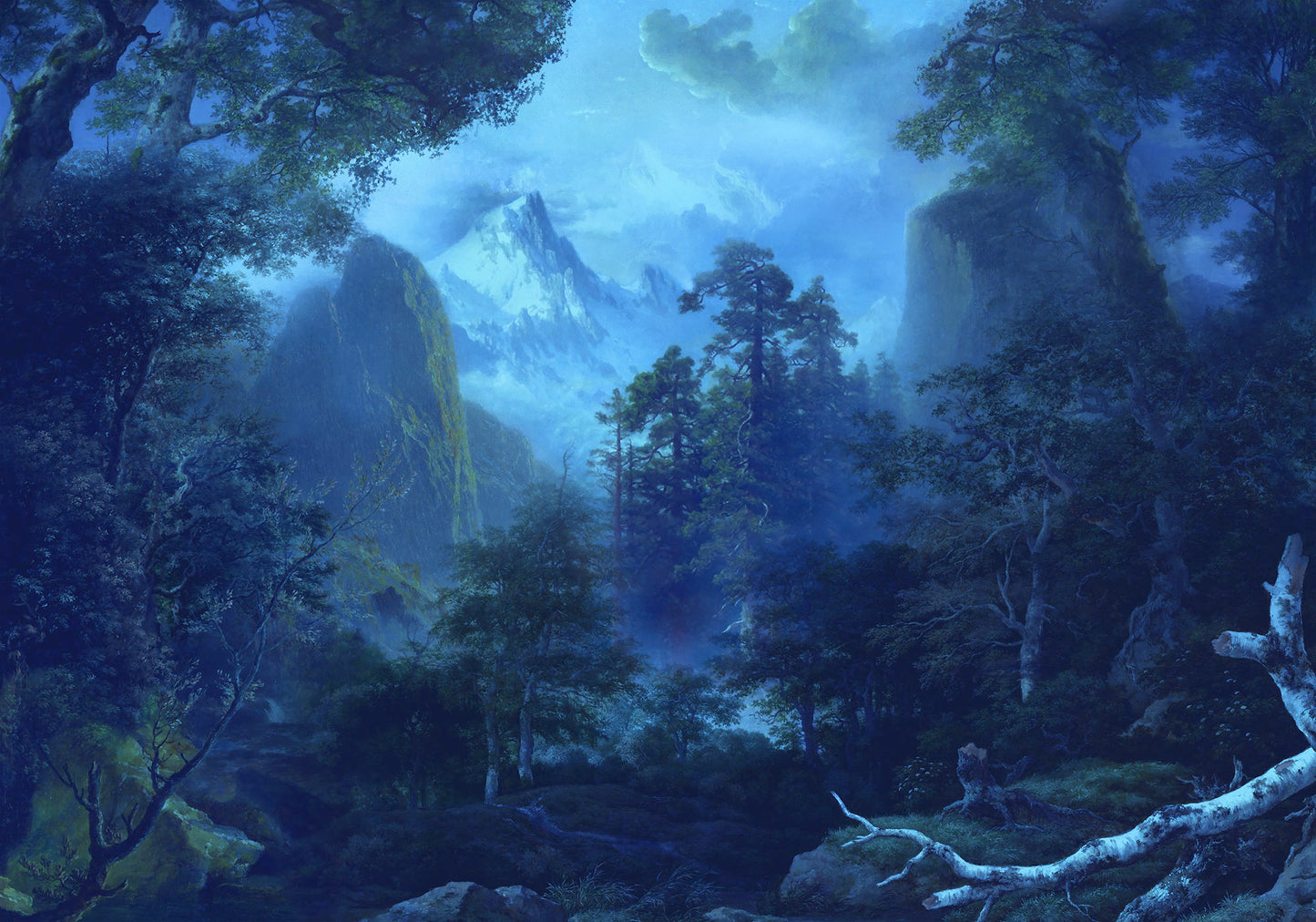Midnight Wall Mural