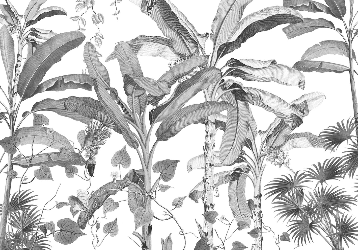 Croissances Monochrome Wall Mural