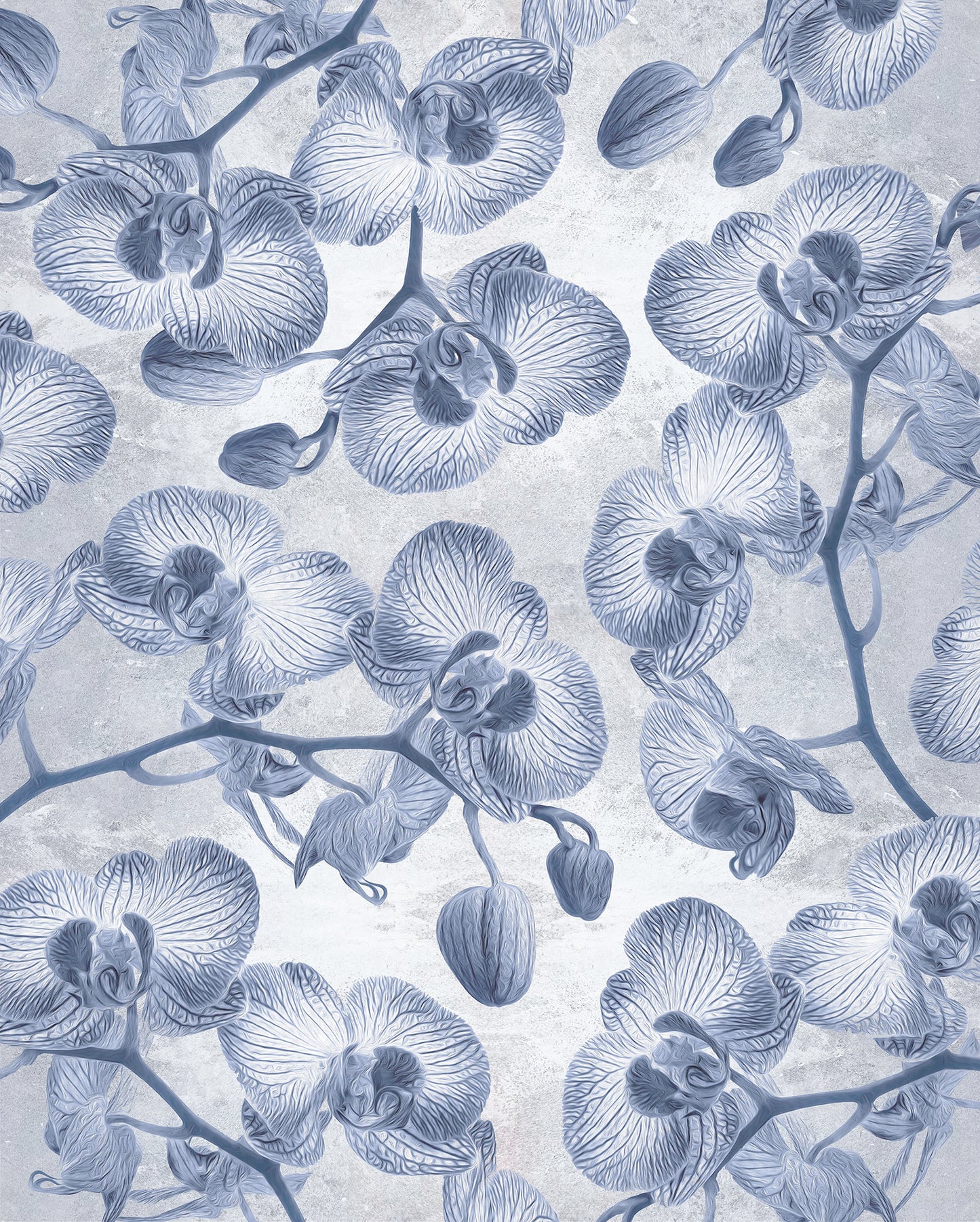 Orchidées