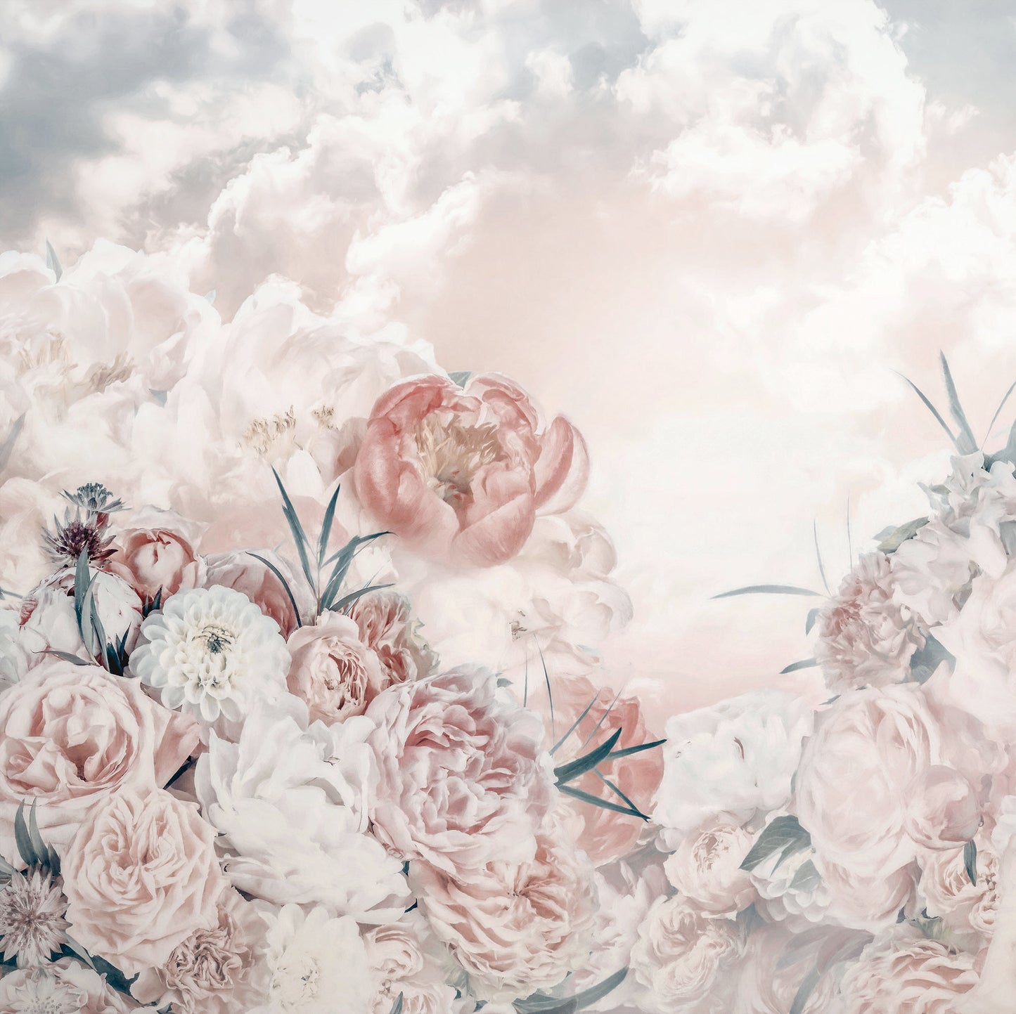 Blossom Clouds
