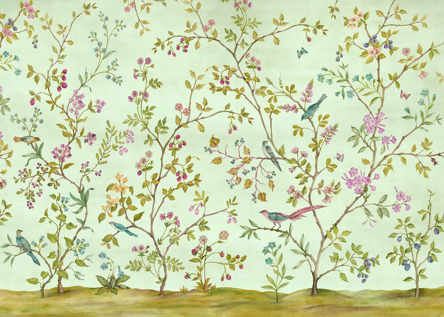 Oiseaux du Paradis