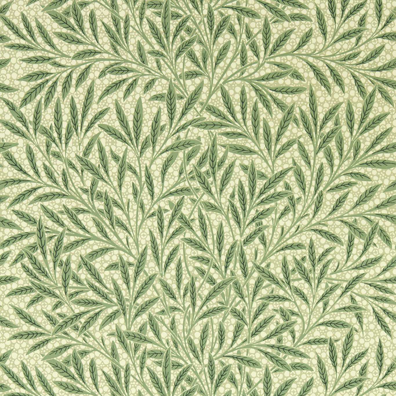 EMERY'S WILLOW