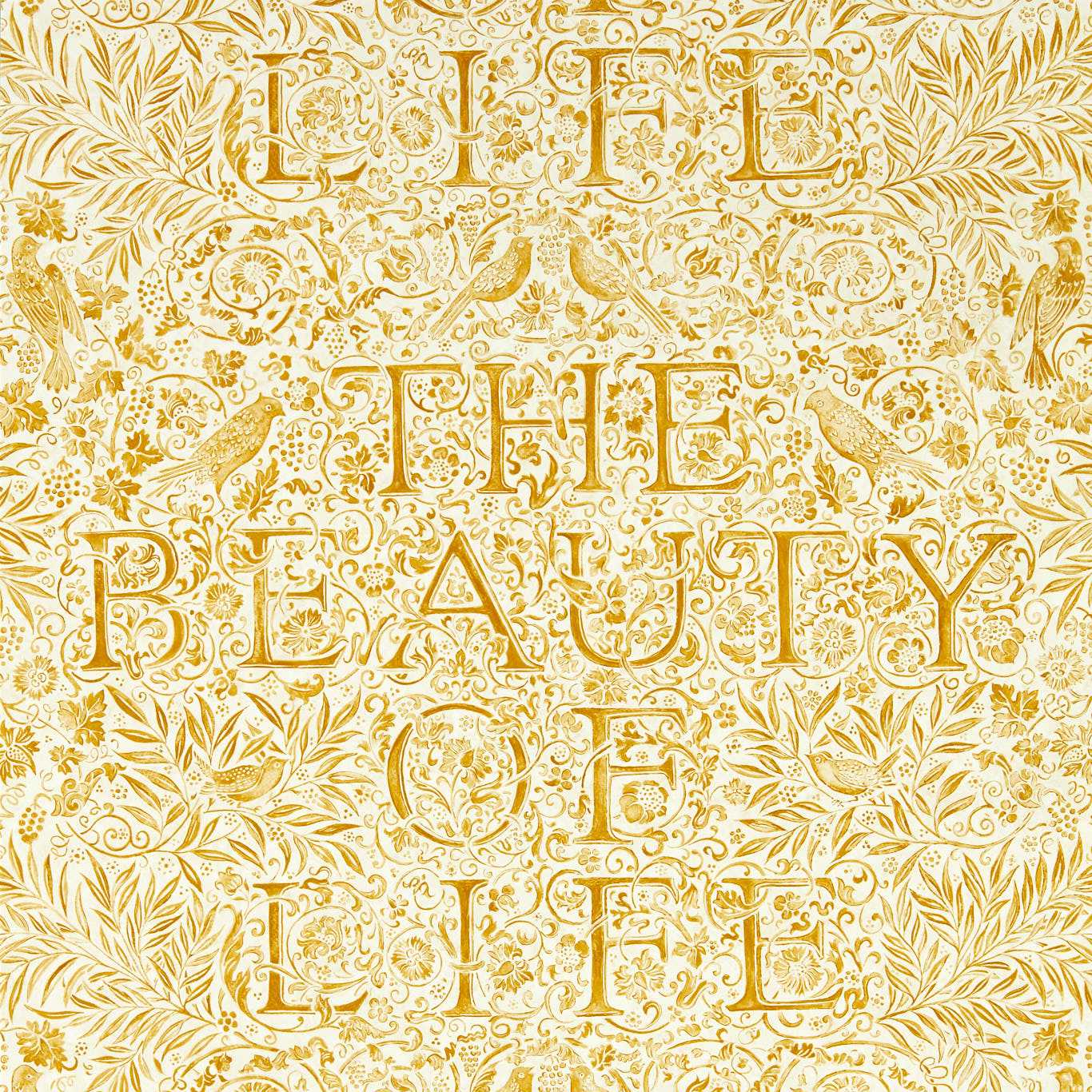 THE BEAUTY OF LIFE