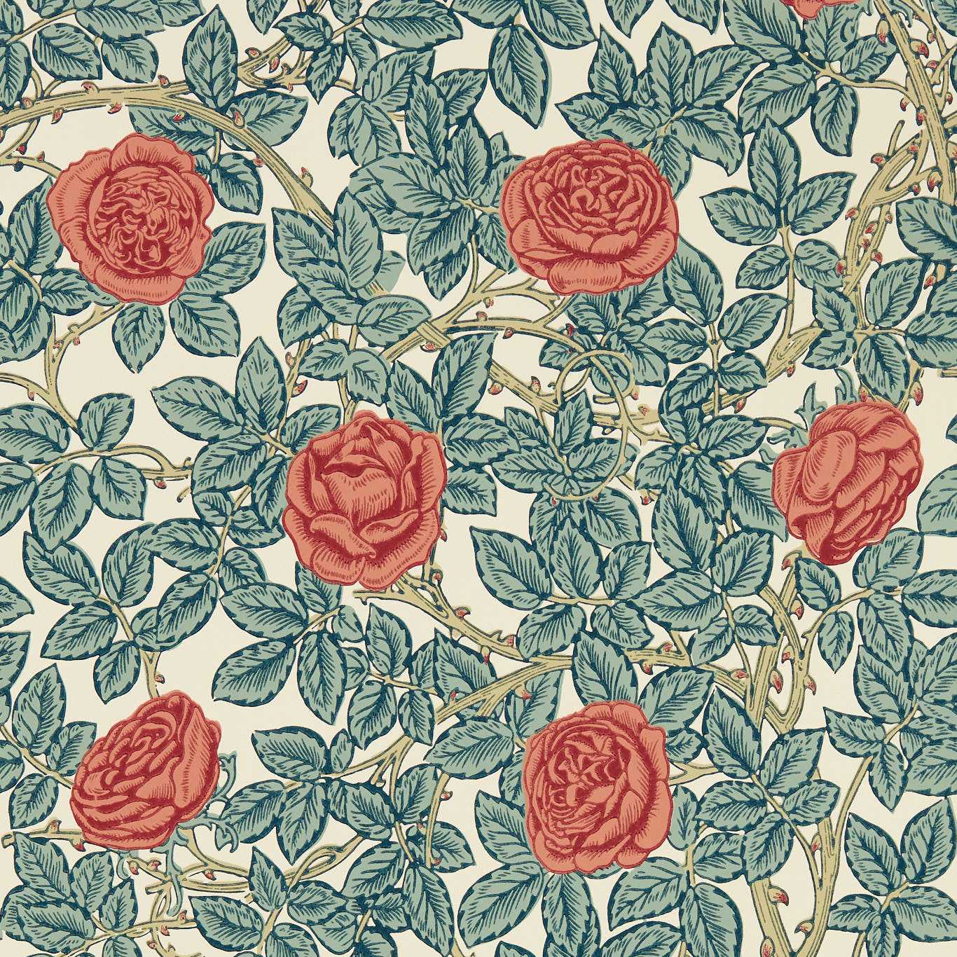 RAMBLING ROSE