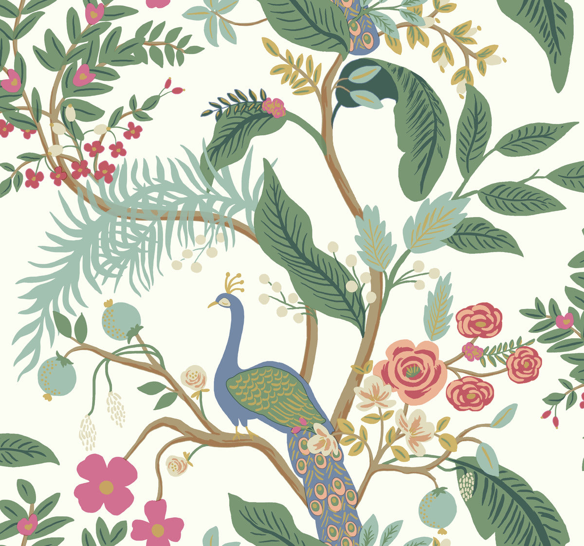 Peacock