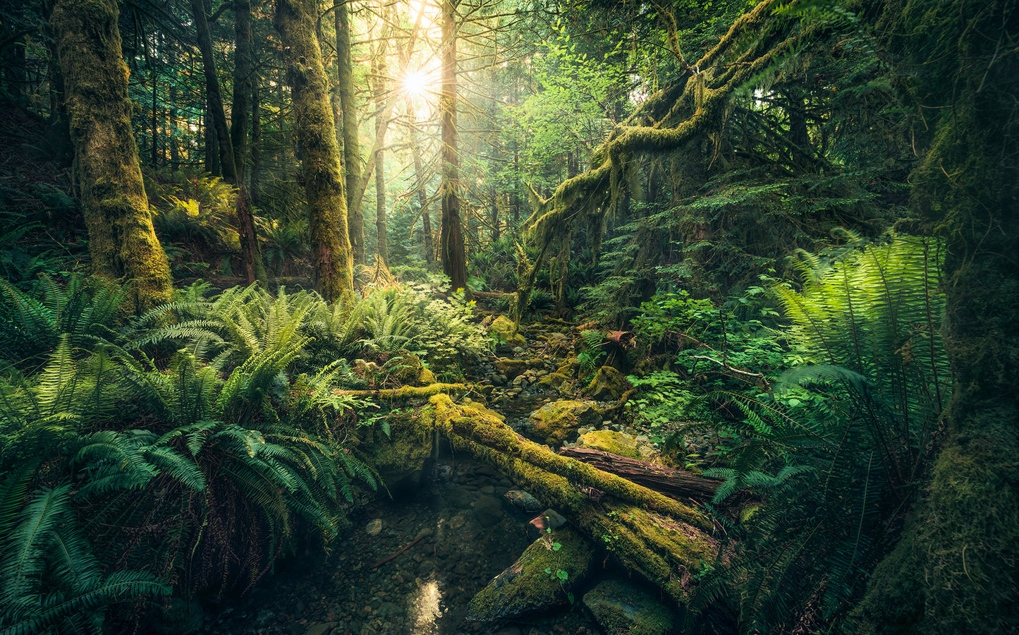 Elves Cathedral