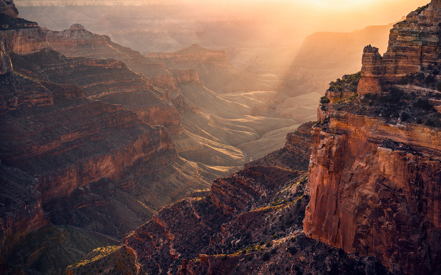 Grand Wonder