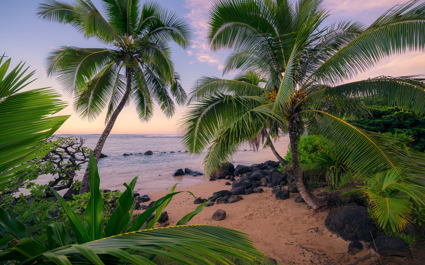 Hawaiian Dreams