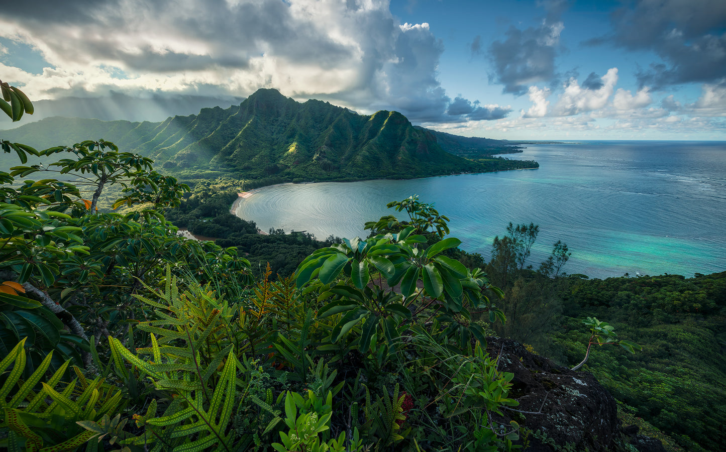 Jurassic Island
