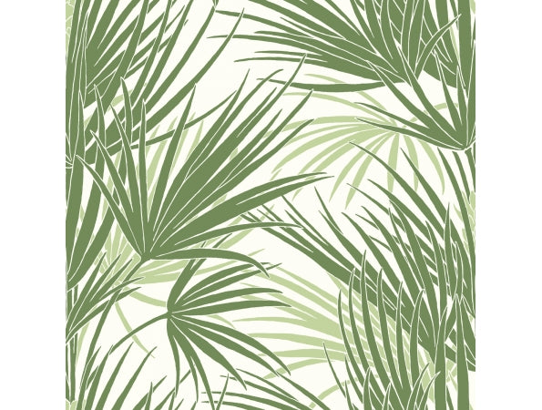 Palmetto