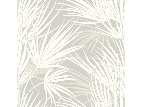 Palmetto