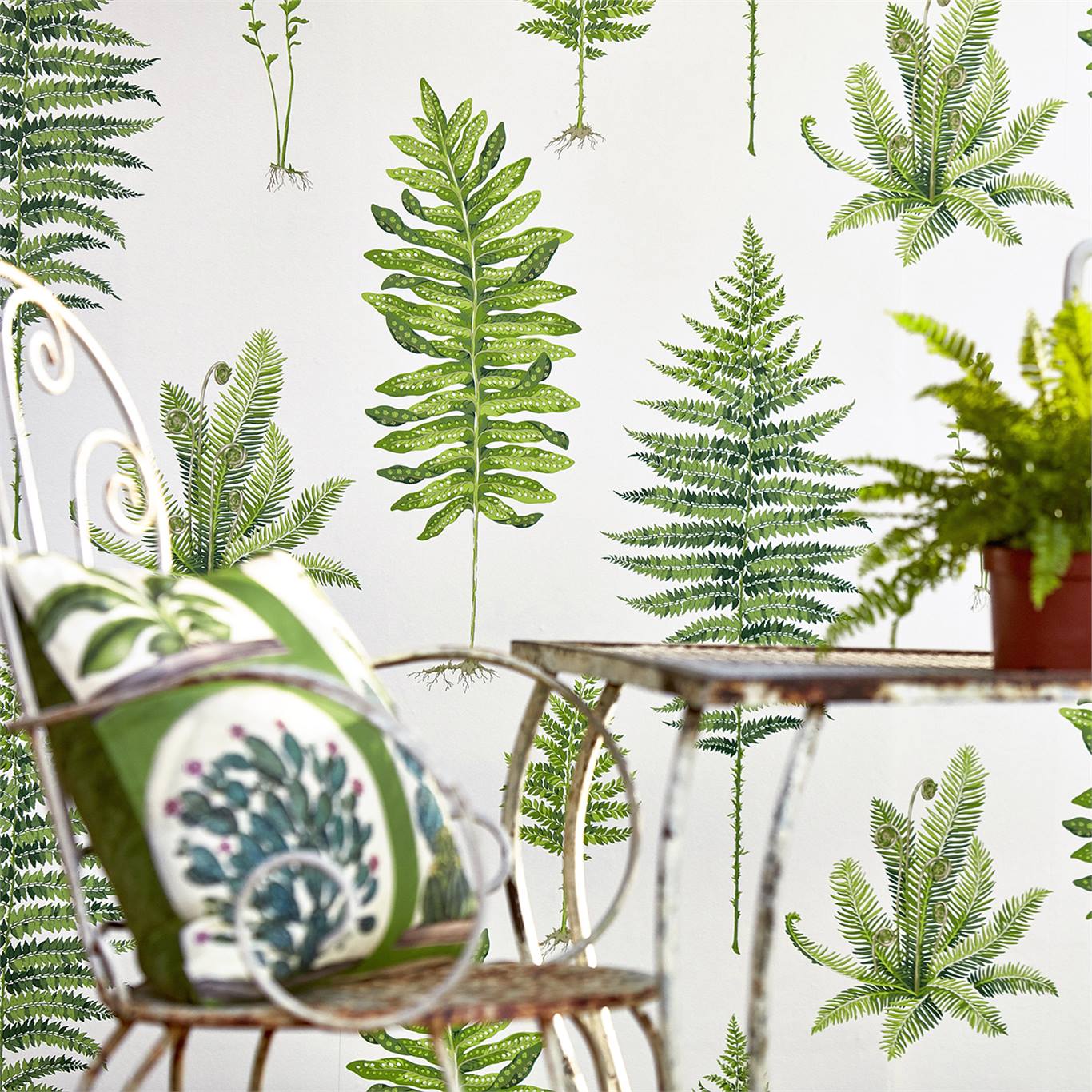 FERNERY