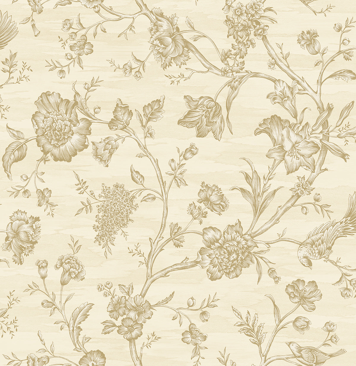 Toile Trail
