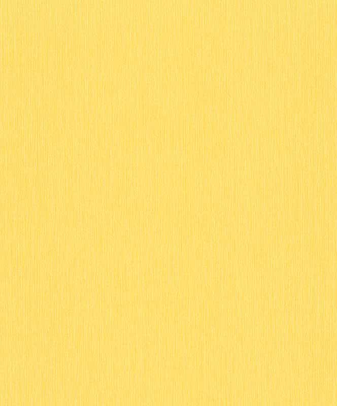 Paradisio Textured Plain