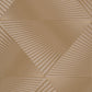 Kinetic Triangles