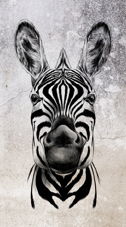 Cool Zebra
