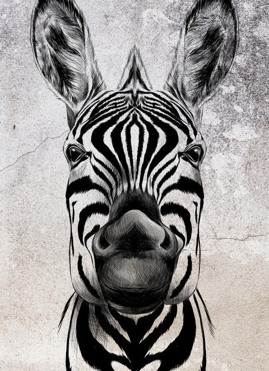 Cool Zebra