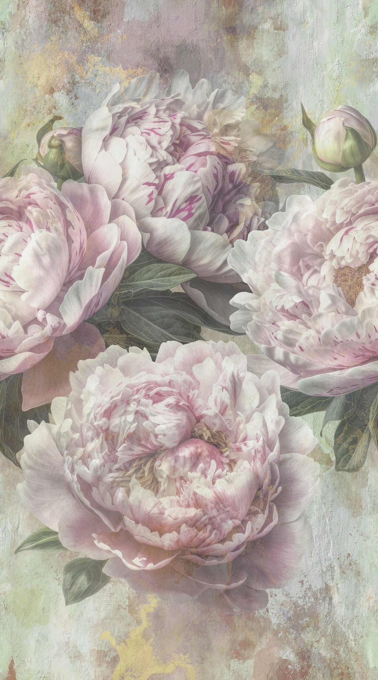 PEONY