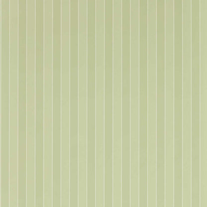 Semper Stripe - Pale Evergreen