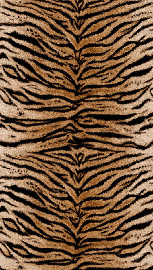 Tiger Texture