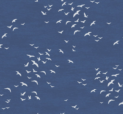 Bird Silhouettes