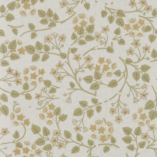 SILVER LIME - Lichen
