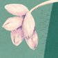 The Flower Duet