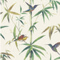 Bamboo & Birds