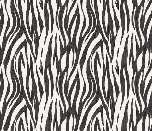Jazz - Onyx