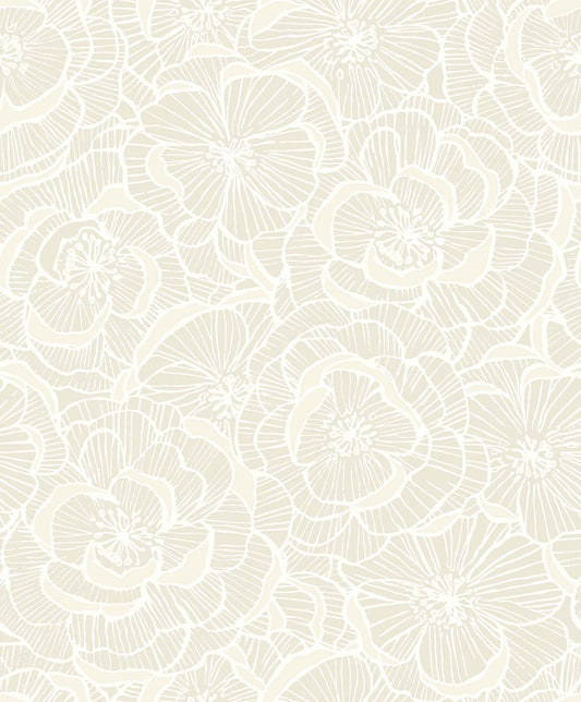 Alejandra - Almond