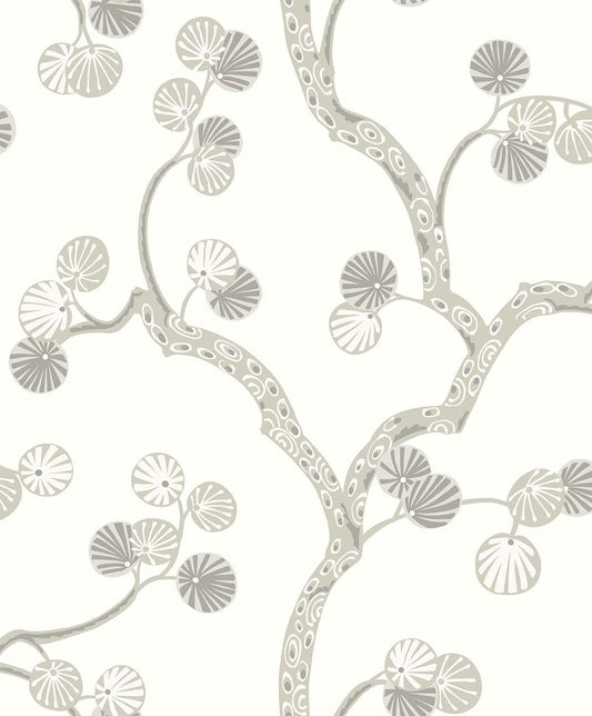 Allegra - Cotton