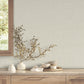 Daystone - Taupe