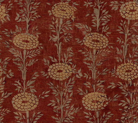 French Marigold - Red & Gold