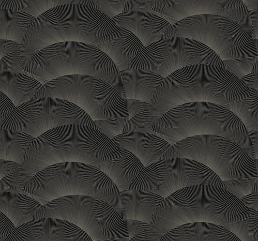 Morning Shell - Black & Grey