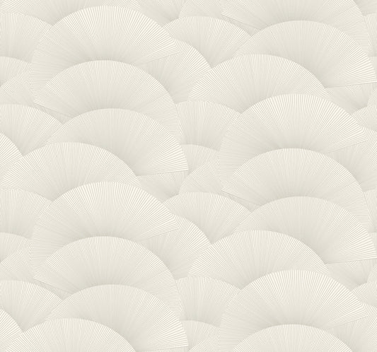 Morning Shell - White & Silver