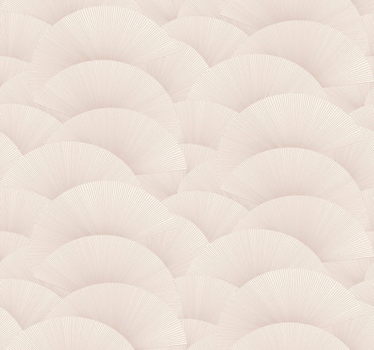 Morning Shell - Blush