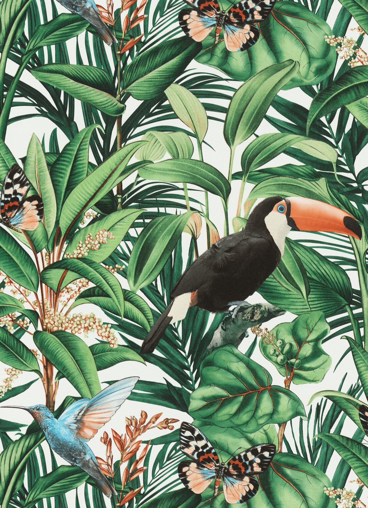 Toucan Jungle