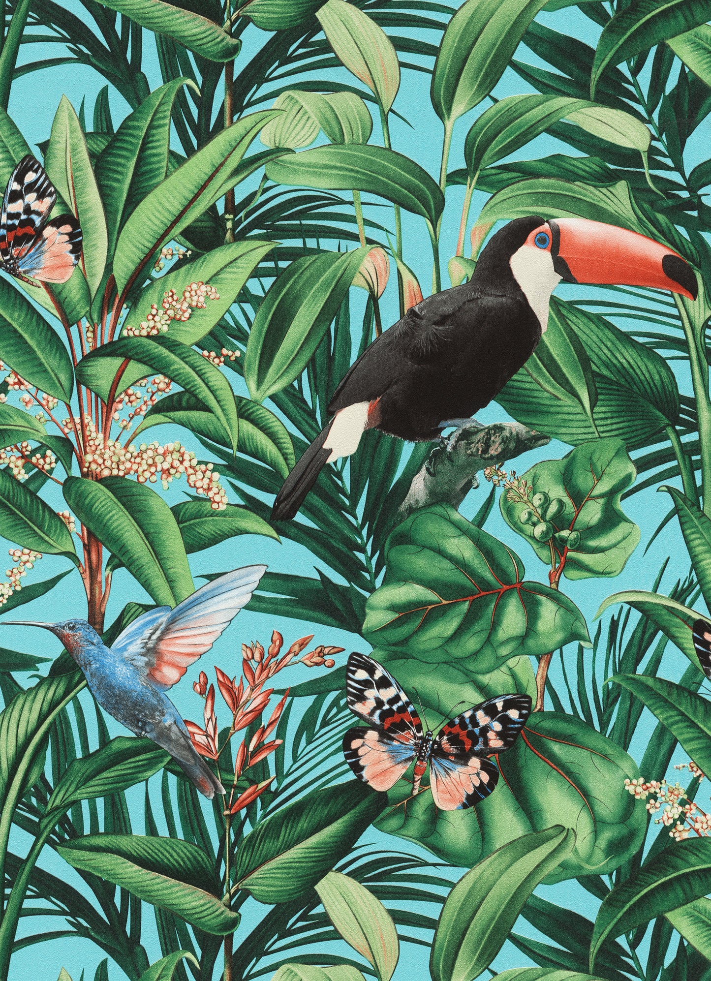 Toucan Jungle