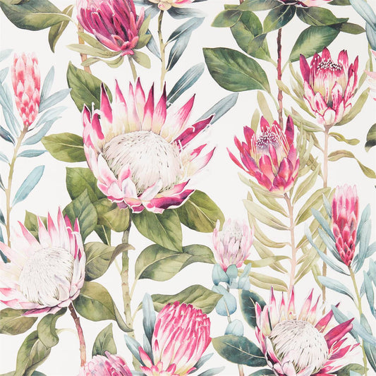 KING PROTEA