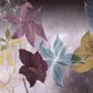 Amaryllis