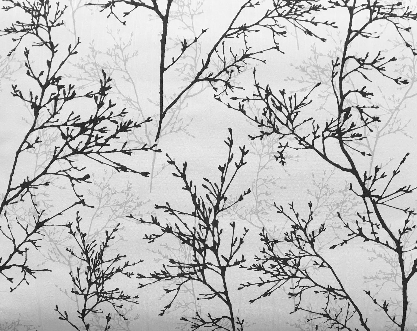 Textured Black & White Branches