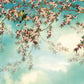 Sakura Blossom Wall Mura