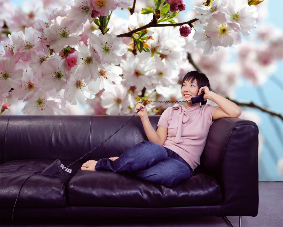 Spring Cherry Blossom[Vol.15]