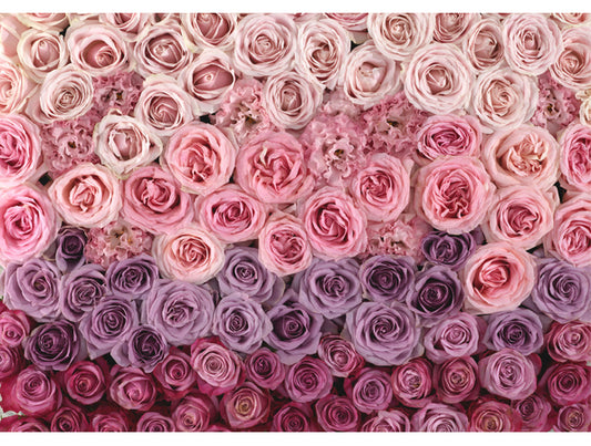 Ombre Roses Mural