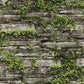 Natural - Realistic Humming Stone Wall