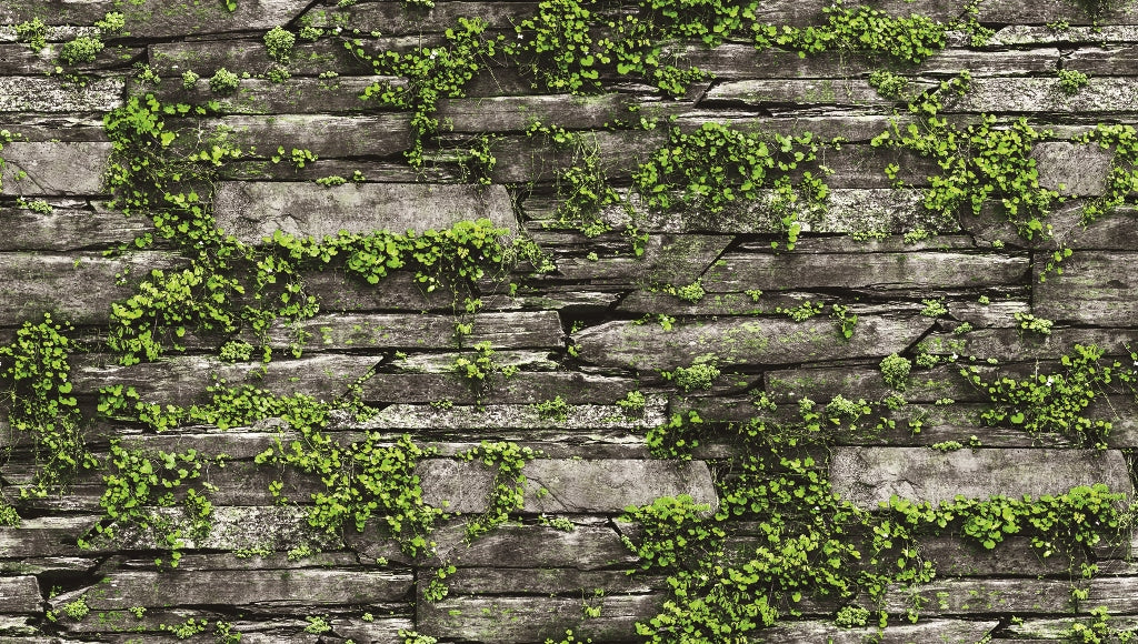 Natural - Realistic Humming Stone Wall