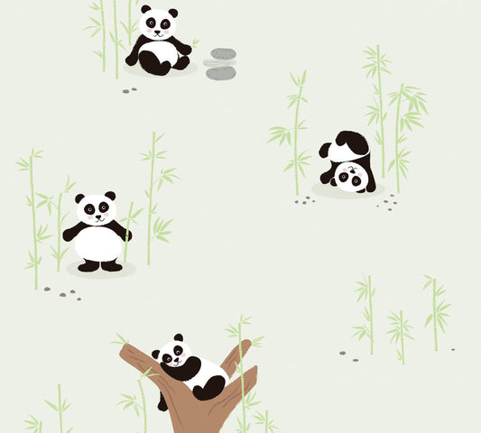 Panda Fun Little Love